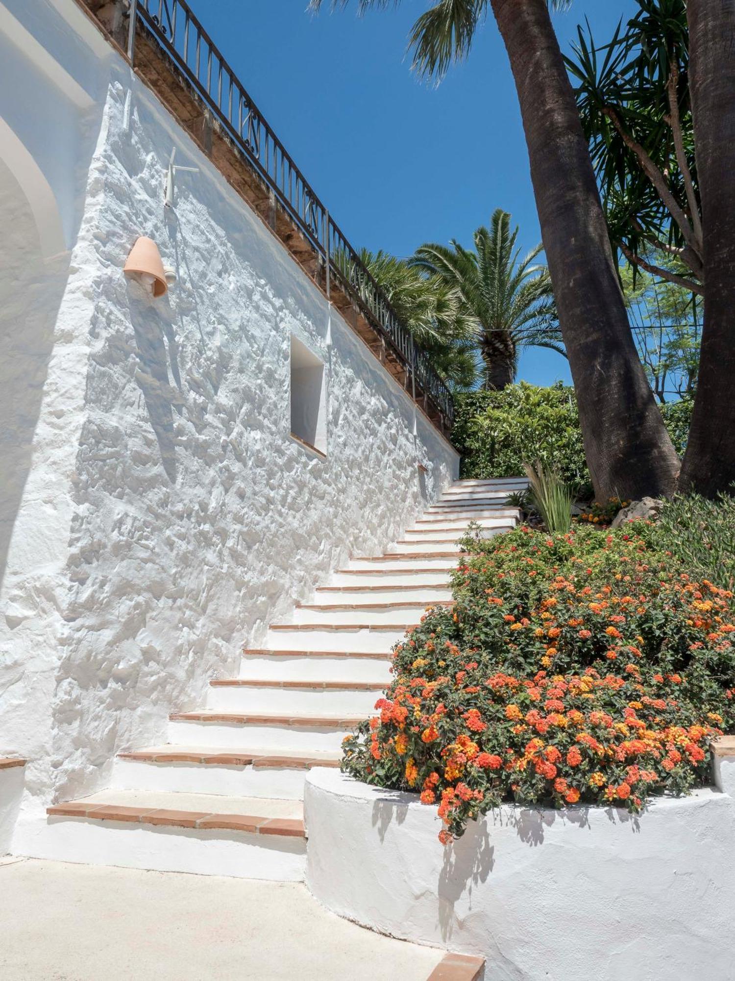 Tosalet Pomelo * Jávea